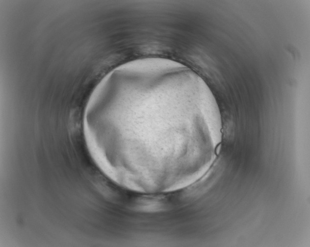 X0000113910179200910151425