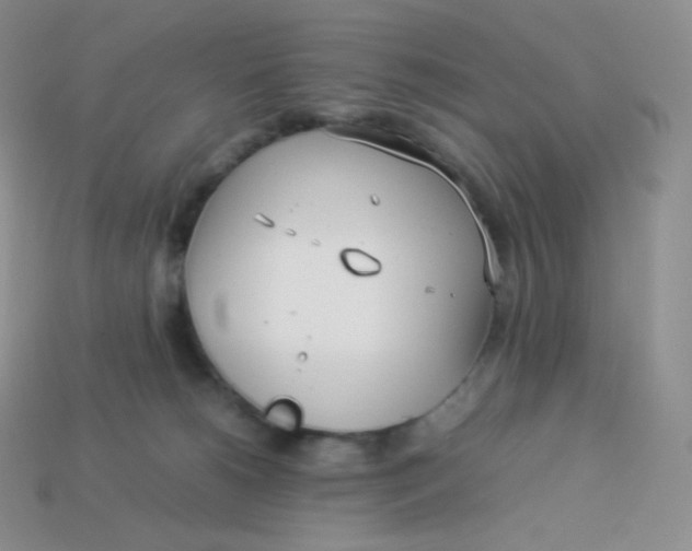 X0000113910180200910151425