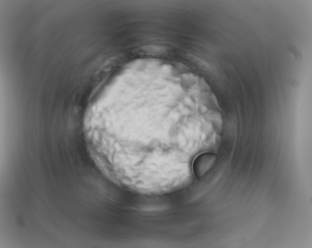 X0000113910181200910151425