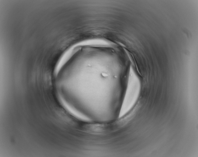 X0000113910182200910151425