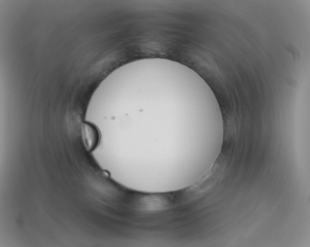 X0000113910183200910151425