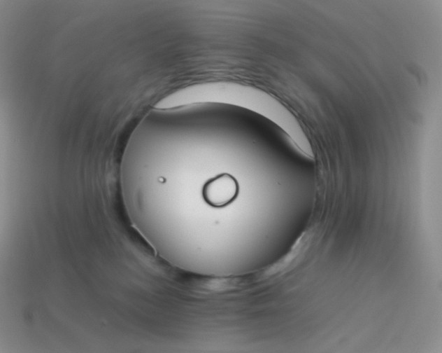 X0000113910184200910151425