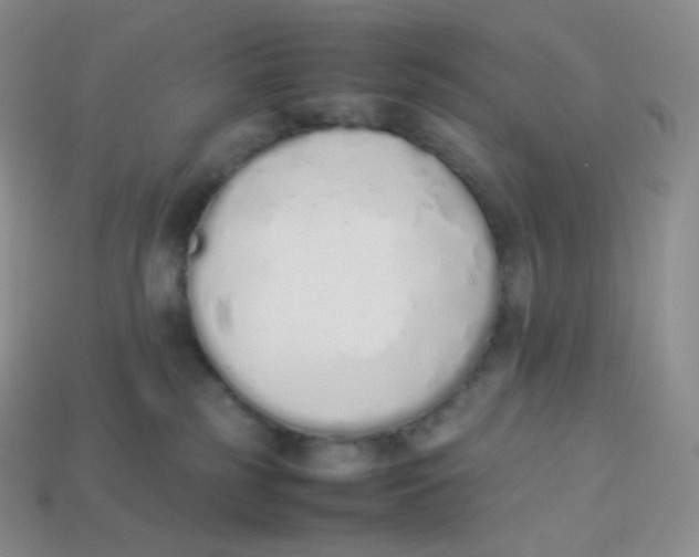 X0000113910185200910151425