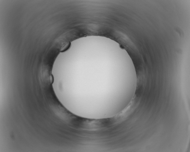 X0000113910186200910151425