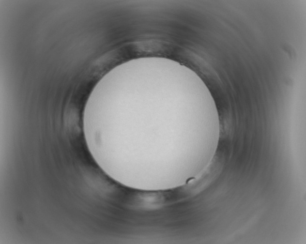 X0000113910187200910151425