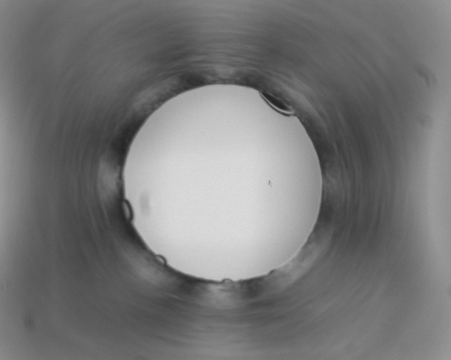 X0000113910188200910151425