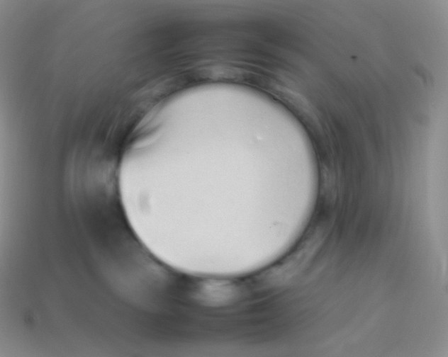 X0000113910189200910151425