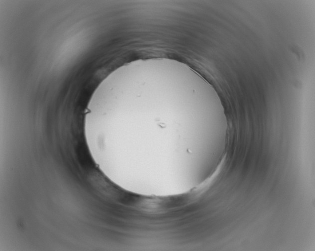 X0000113910190200910151425