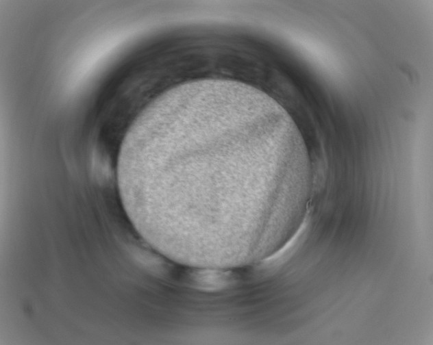 X0000113910191200910151425