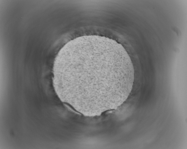 X0000113910192200910151425