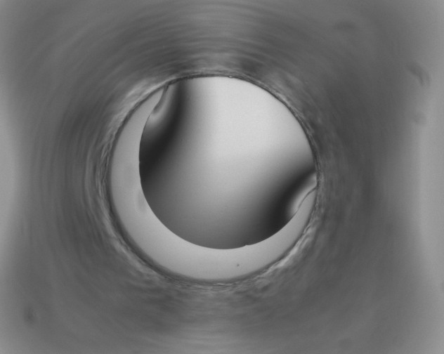 X0000113910193200910151425