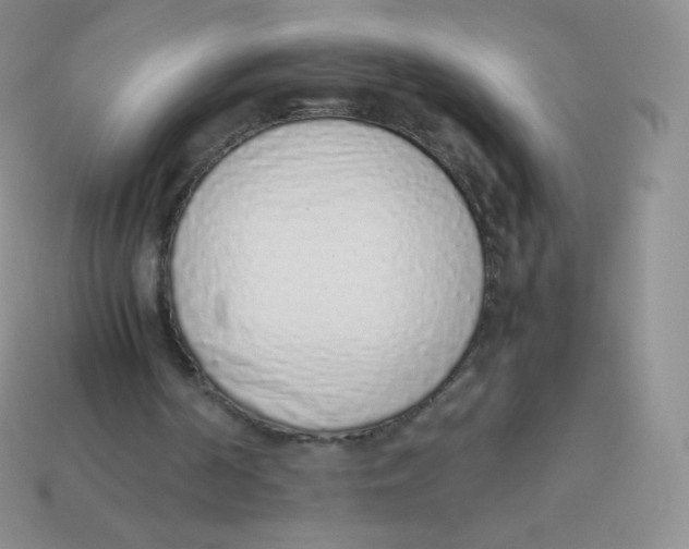 X0000113910194200910151425