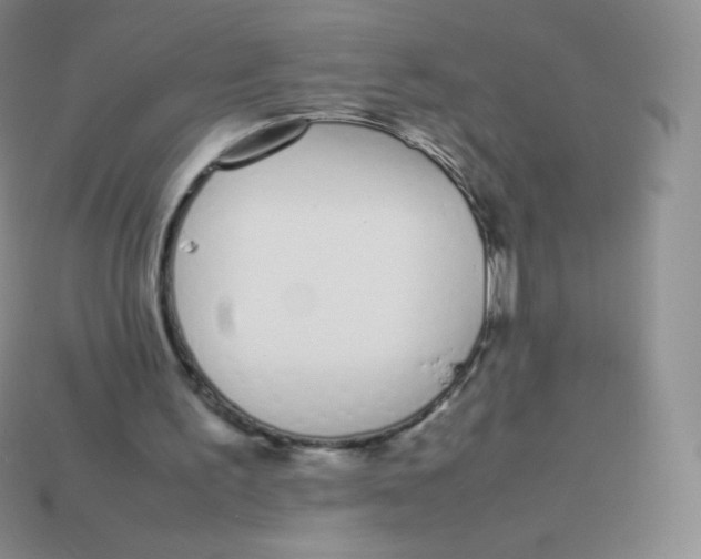 X0000113910195200910151425