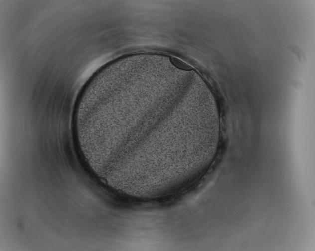 X0000113910196200910151425