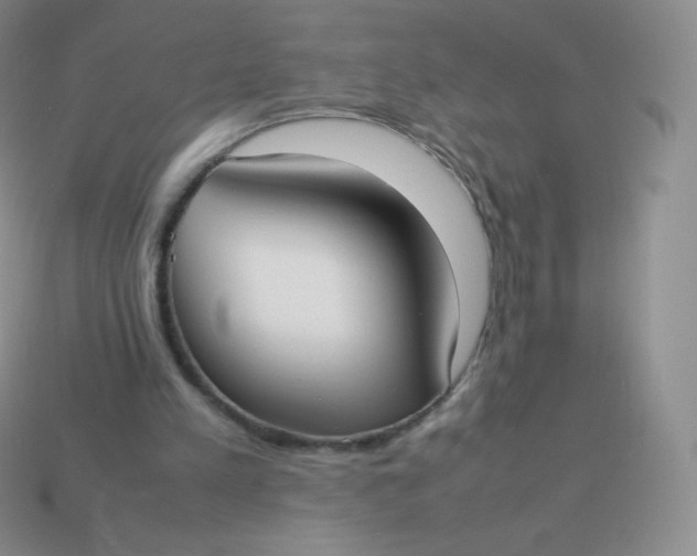 X0000113910197200910151425