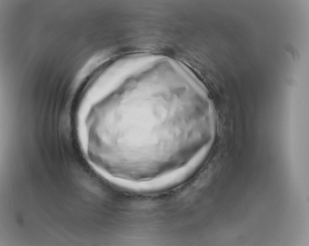 X0000113910198200910151425