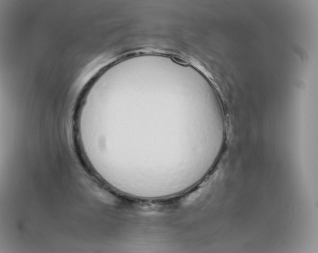 X0000113910199200910151425