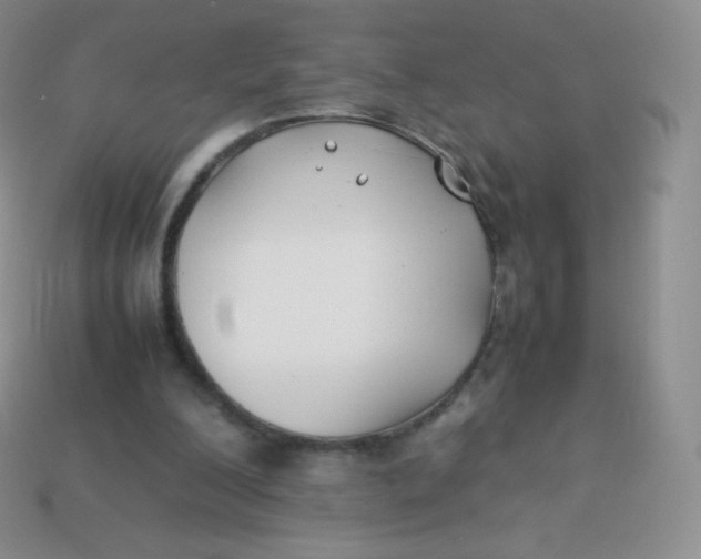 X0000113910200200910151425