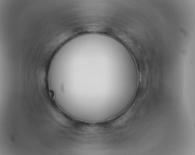 X0000113910201200910151425