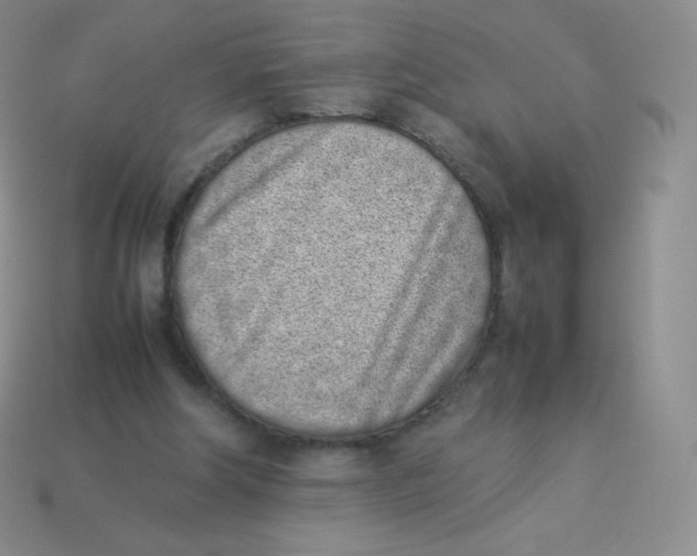 X0000113910202200910151425