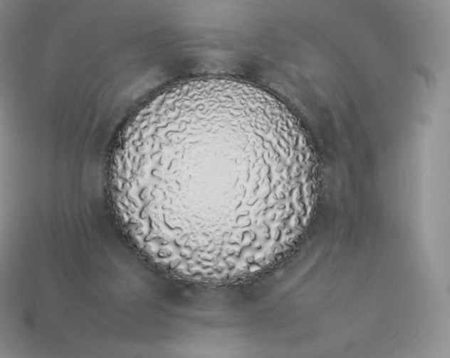 X0000113910203200910151425