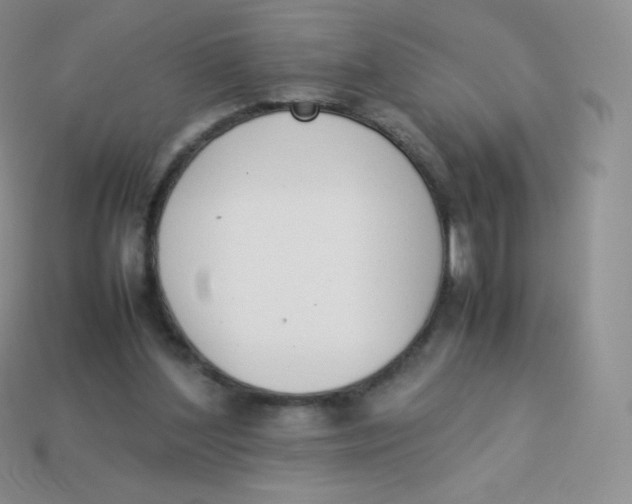 X0000113910204200910151425