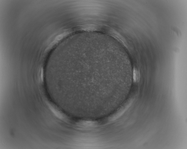 X0000113910205200910151425