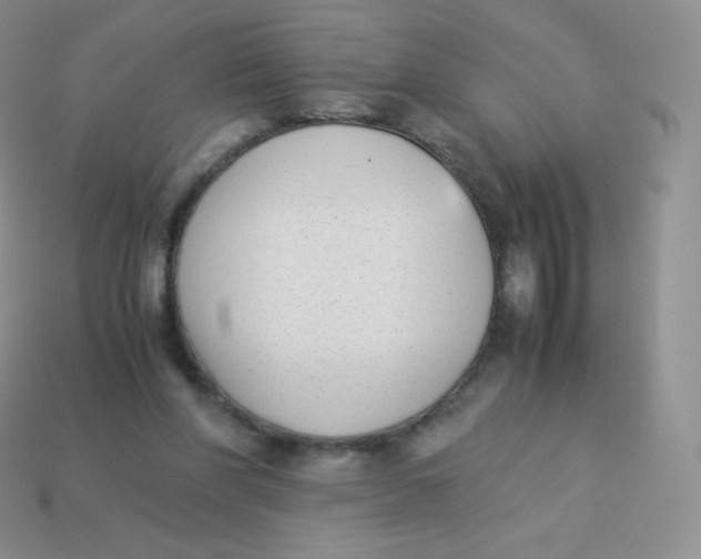 X0000113910206200910151425