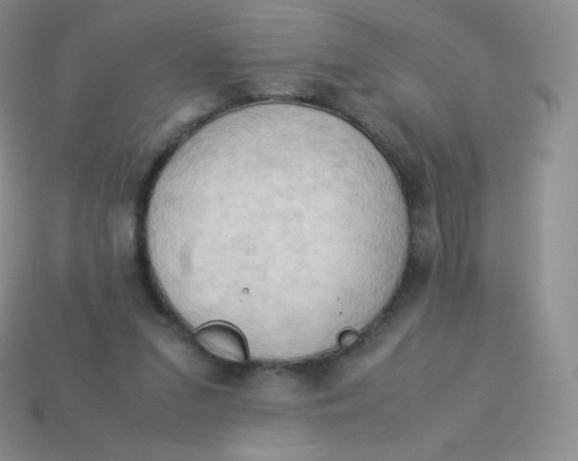 X0000113910207200910151425