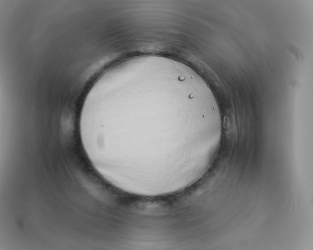 X0000113910208200910151425