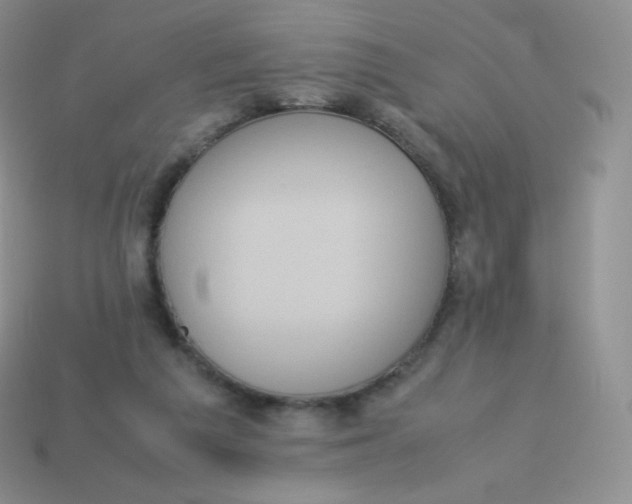 X0000113910209200910151425