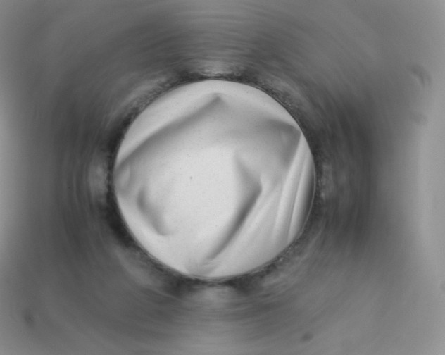 X0000113910210200910151425