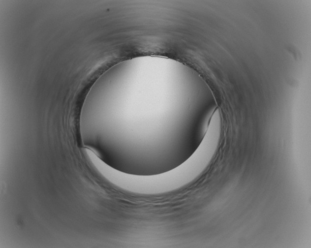 X0000113910211200910151425