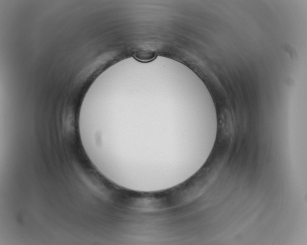 X0000113910212200910151425