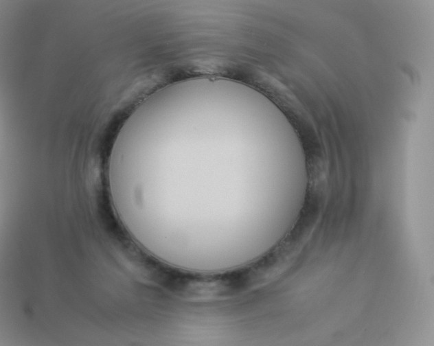 X0000113910213200910151425