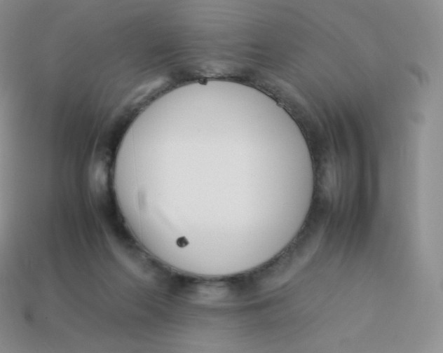 X0000113910214200910151425