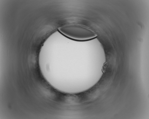 X0000113910215200910151425