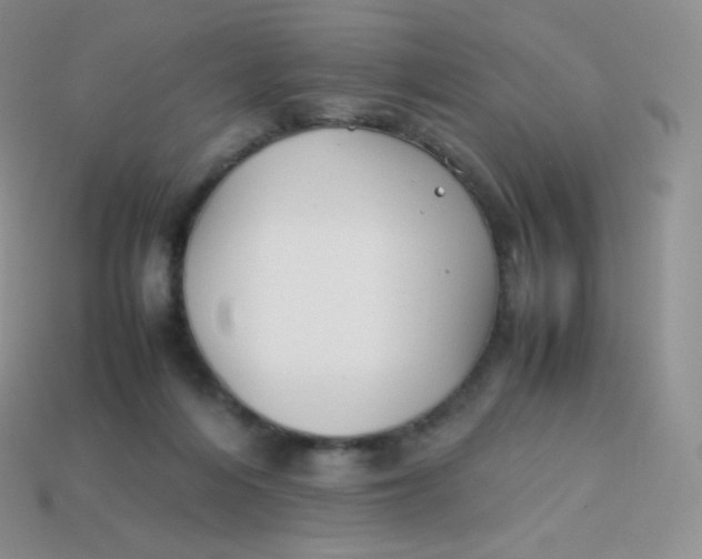 X0000113910216200910151425