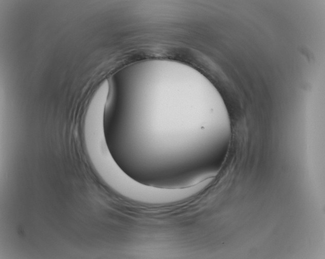 X0000113910217200910151425