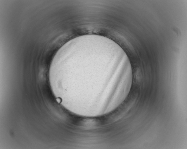 X0000113910218200910151425