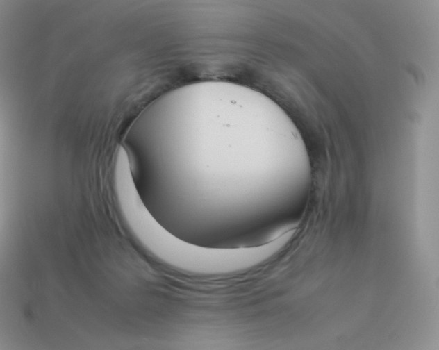 X0000113910219200910151425