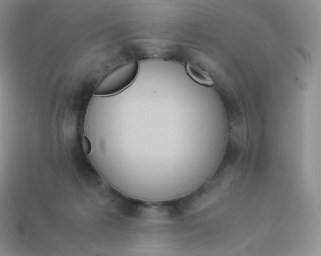 X0000113910221200910151424