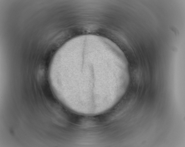 X0000113910222200910151424