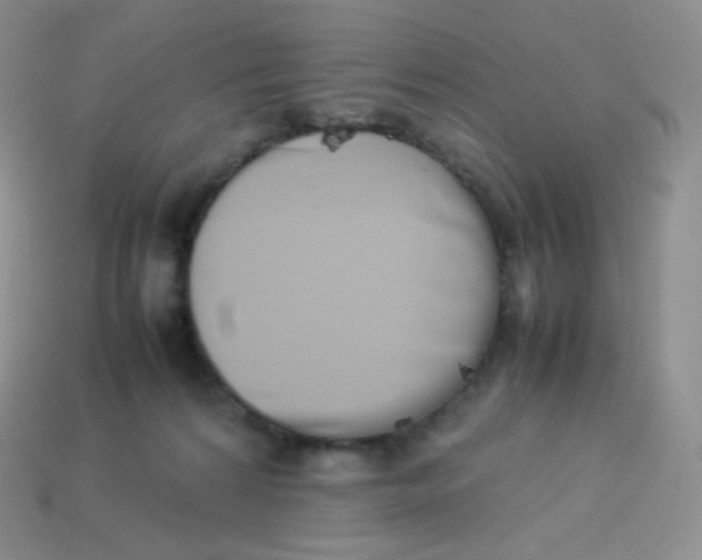 X0000113910224200910151424