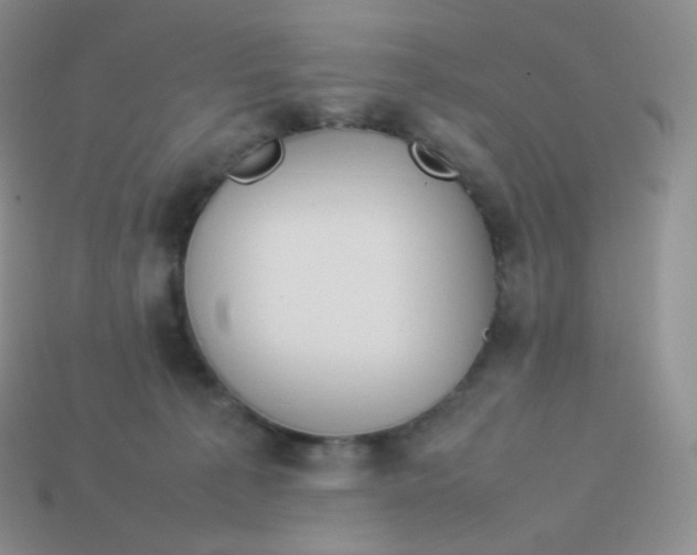 X0000113910225200910151424