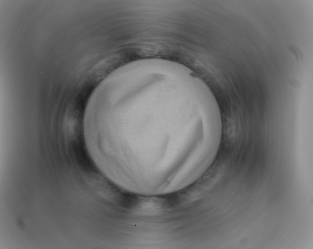 X0000113910226200910151424