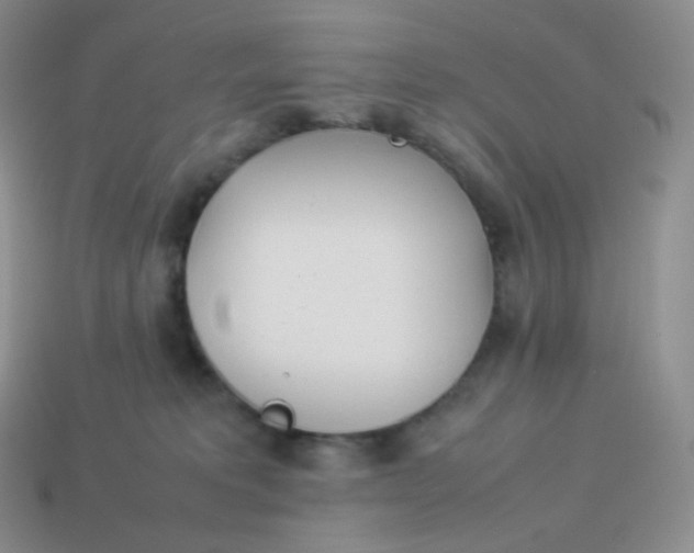 X0000113910229200910151424