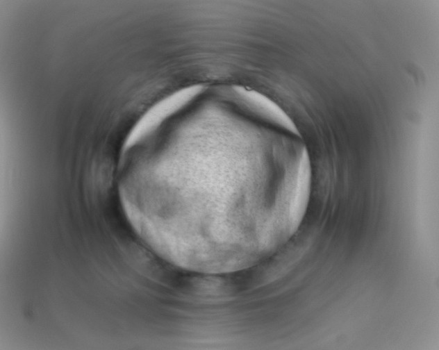 X0000113910230200910151424