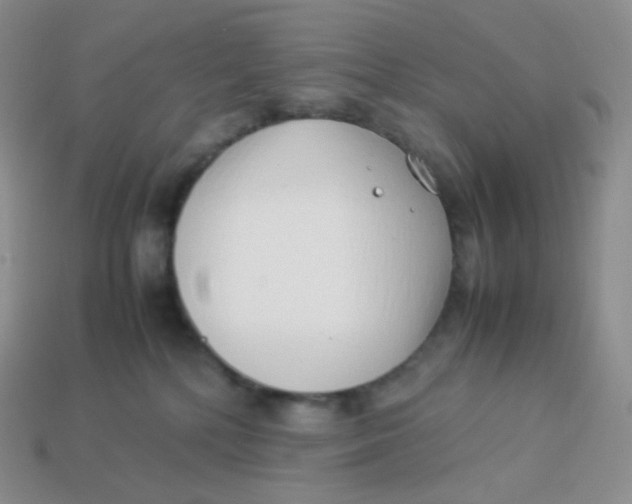 X0000113910232200910151424