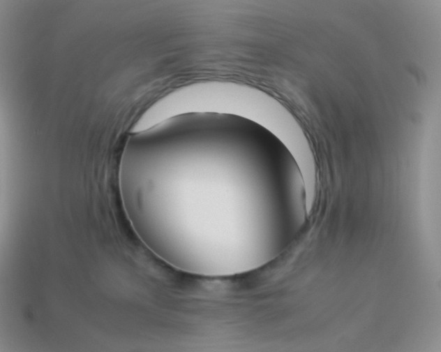 X0000113910233200910151424